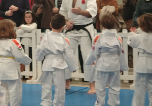 Judo Exhibition