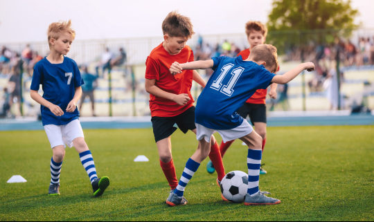 RPS Summer School Activities
