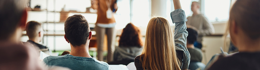 C1 - Curriculum overview for students preparing for university